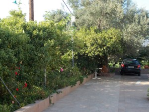 Afrodite Studios Αφροδίτη Ενοικιαζόμενα δωμάτια Πύργοι Θερμής Μυτιλήνη 15